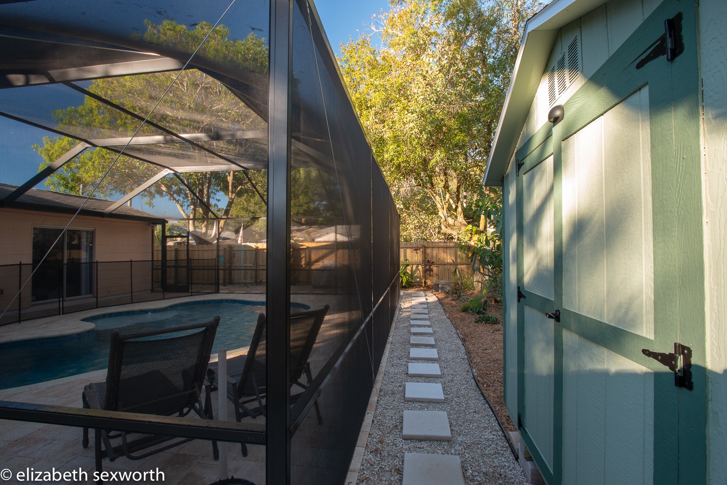 Yard outside the pool cage at the back of the yard