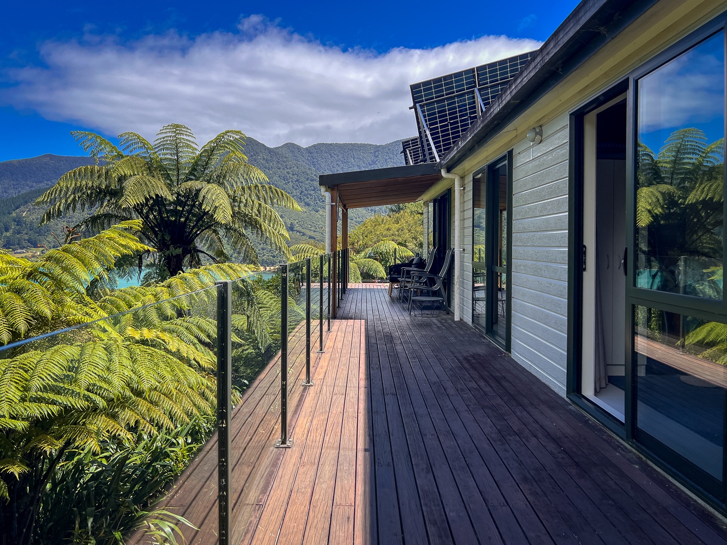 Modern mountain retreat with wraparound deck surrounded by native tree ferns and dramatic valley views.