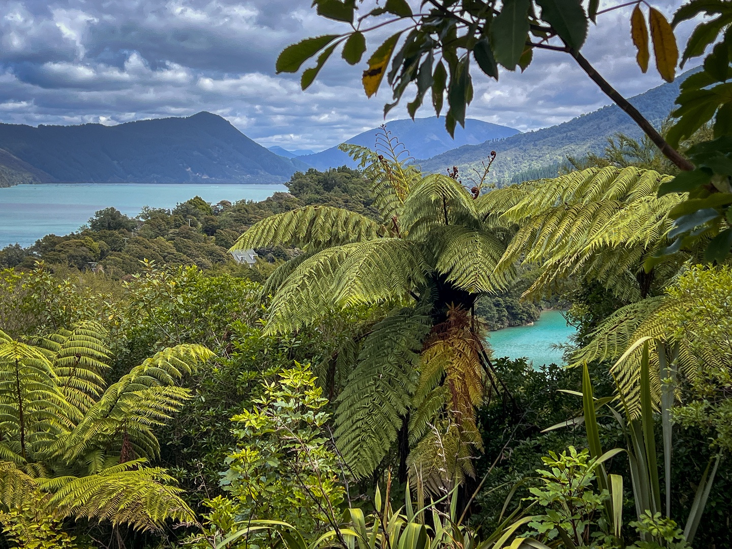 Stunning natural landscape surrounds the property with lush tropical ferns, pristine turquoise waters, and dramatic mountain ranges creating a breathtaking backdrop.