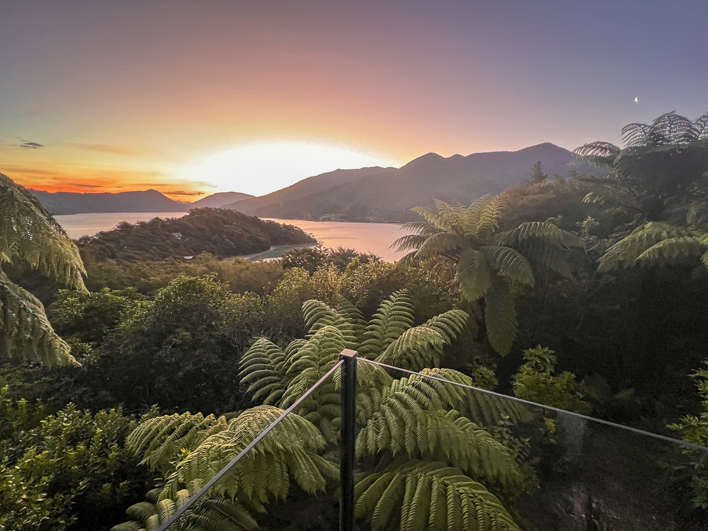Stunning sunset view over mountains and water from native forest walkway with giant tree ferns.