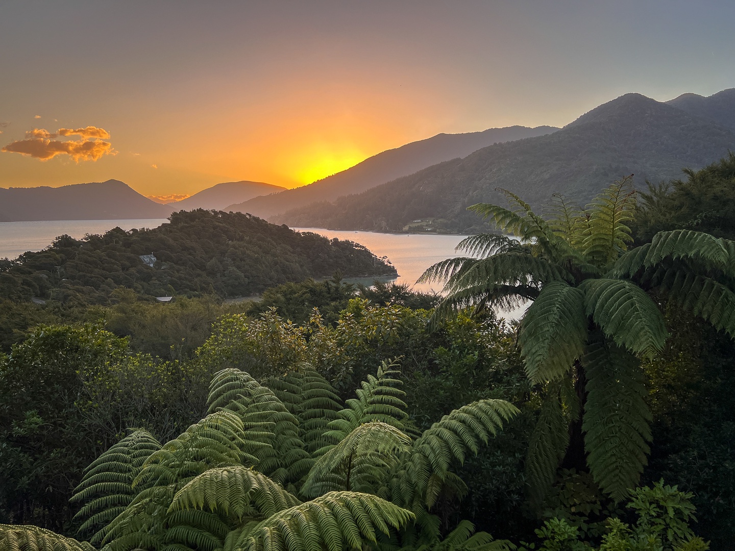 Golden sunset paints the mountain landscape surrounding this tropical retreat, with native ferns creating a serene natural backdrop.