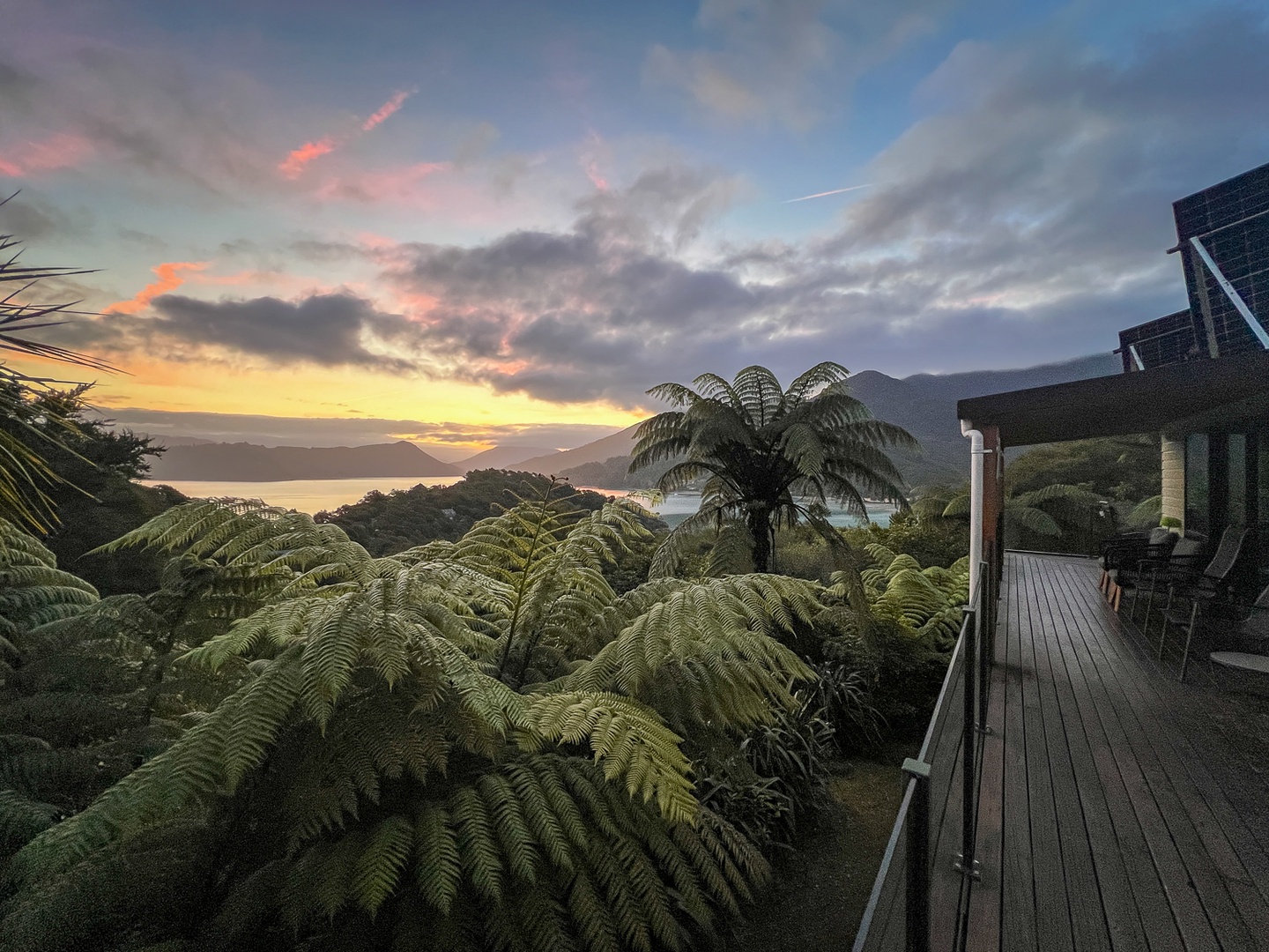 Stunning sunset views over lush native ferns and distant water create a spectacular backdrop for evening relaxation on this elevated deck.