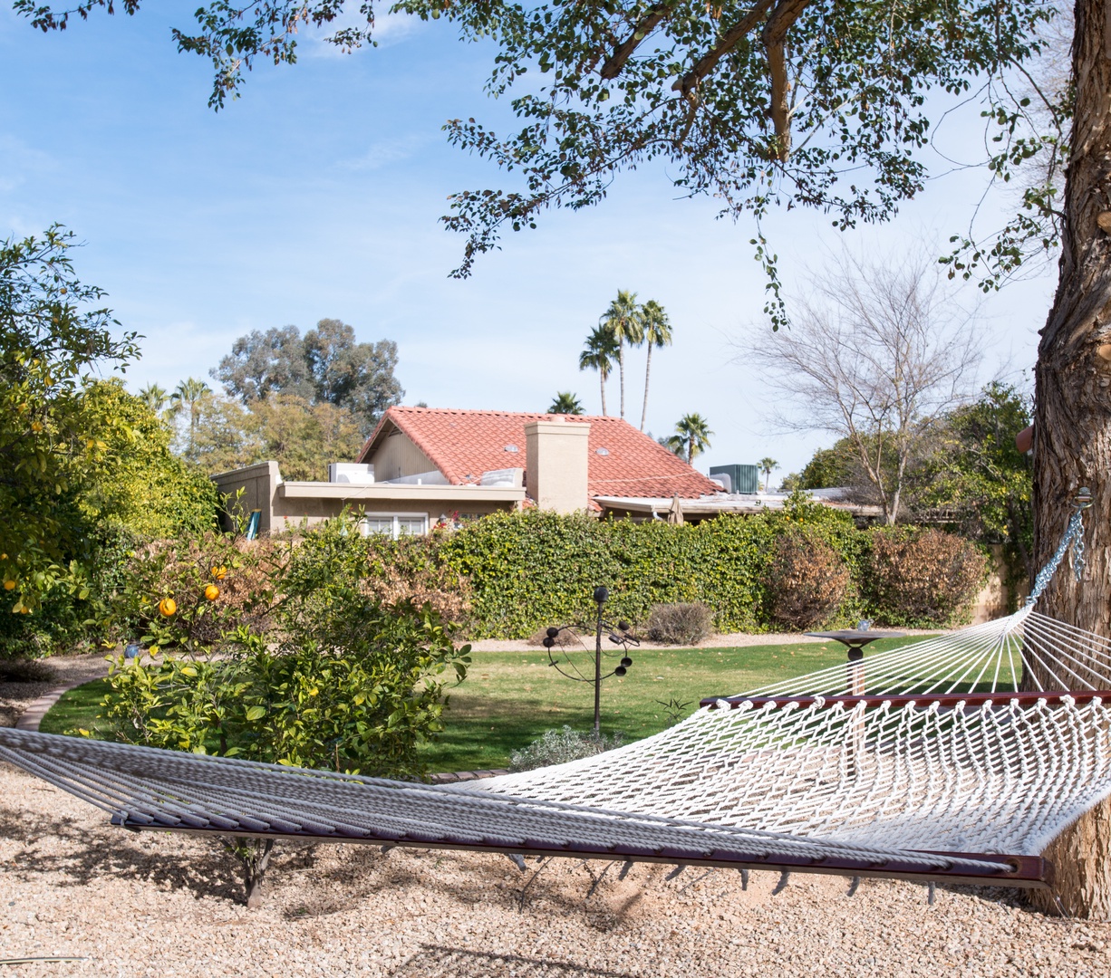 Hammock