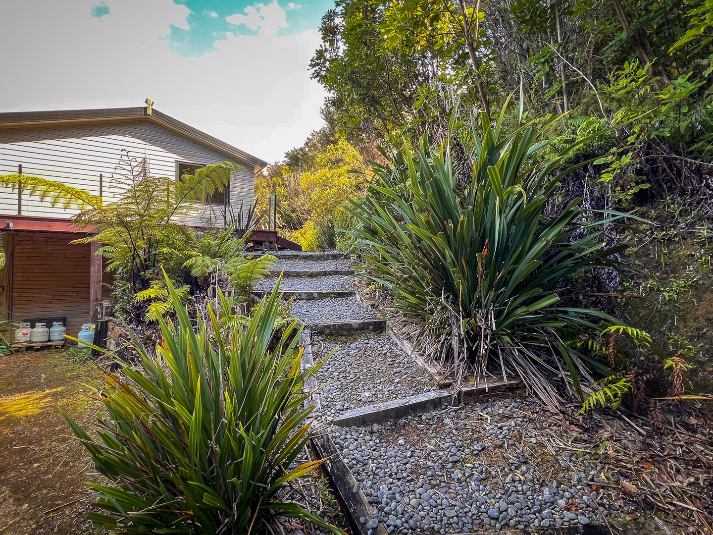 A gravel pathway winds through lush native plantings, leading to the property entrance surrounded by tropical greenery.