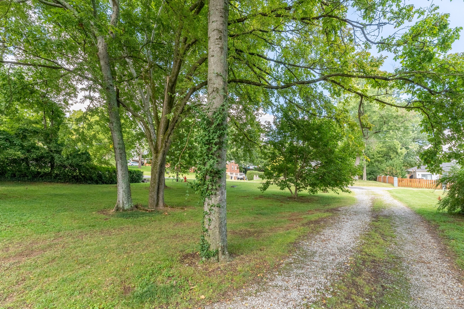 2879_Lyncrest_Yard_FullQuality-002