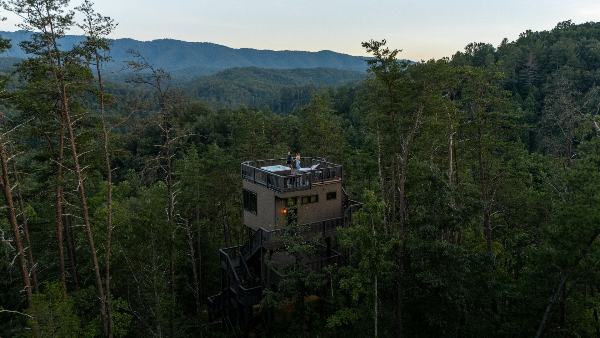 Full View - Tree HOUSE