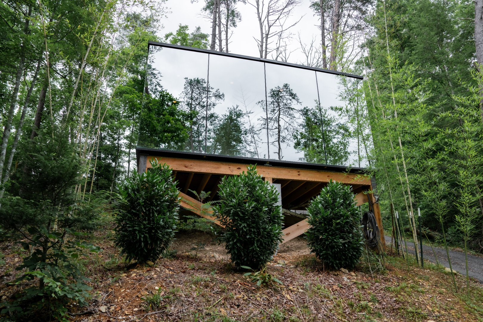 Mirror Home