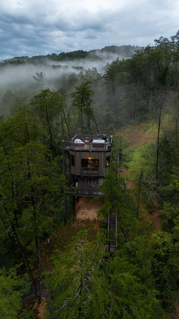 Aerial View - Treehouse