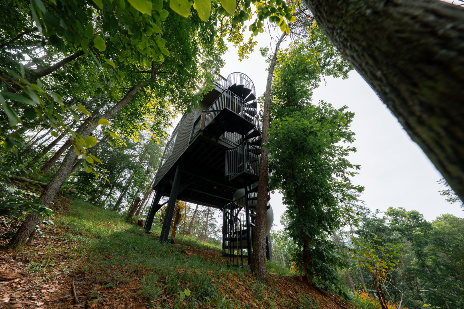 Tree House Exterior Wide