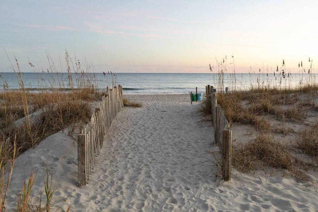 A peaceful beach boardwalk leads through sea oats to pristine sand and gentle waves during golden hour.