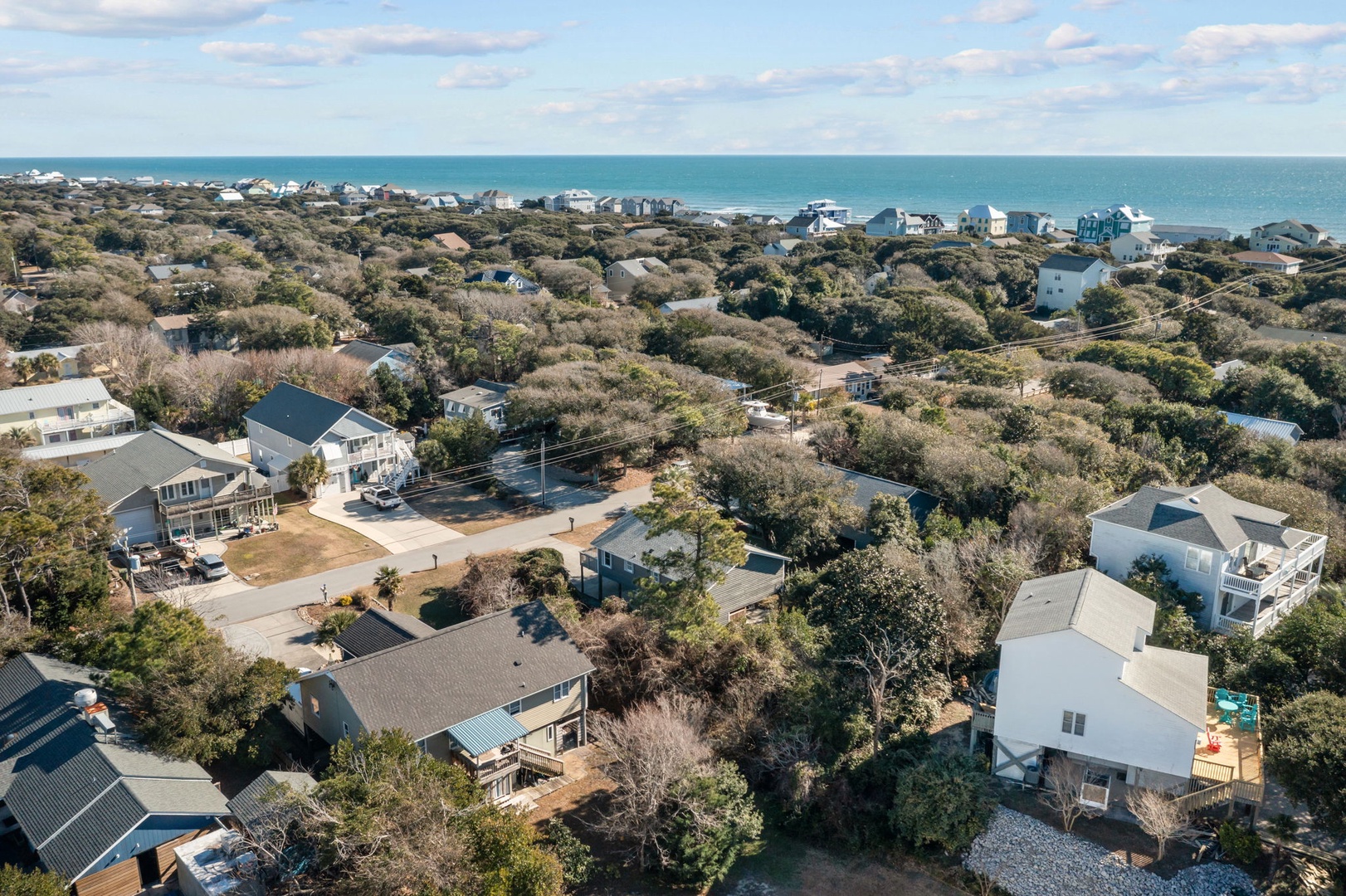 Aerial view of coastal neighborhood with beach houses nestled among native vegetation near the ocean.