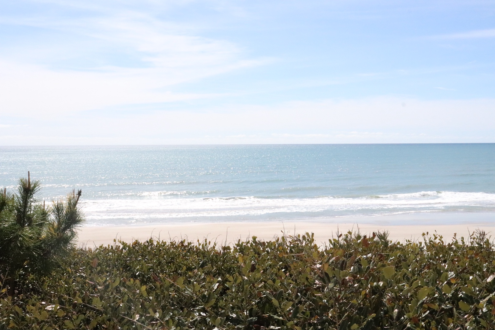 Pristine coastline with golden sand beach and rolling waves, framed by lush vegetation under bright daytime skies.