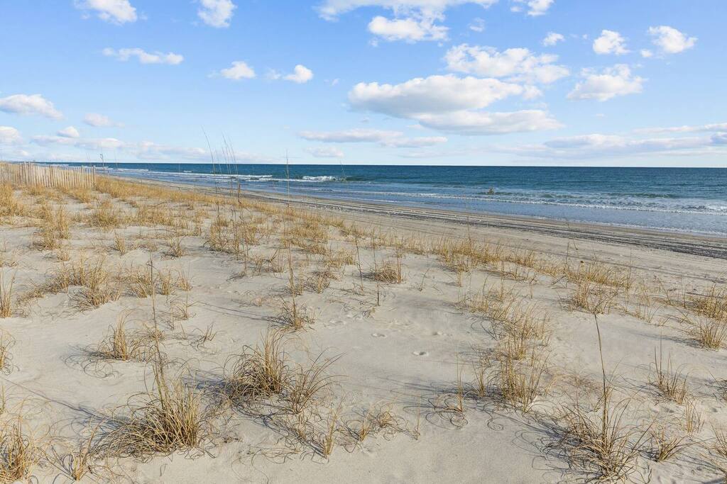 Pristine sandy beach stretches along the coastline with natural dune grasses and gentle ocean waves under a beautiful blue sky.