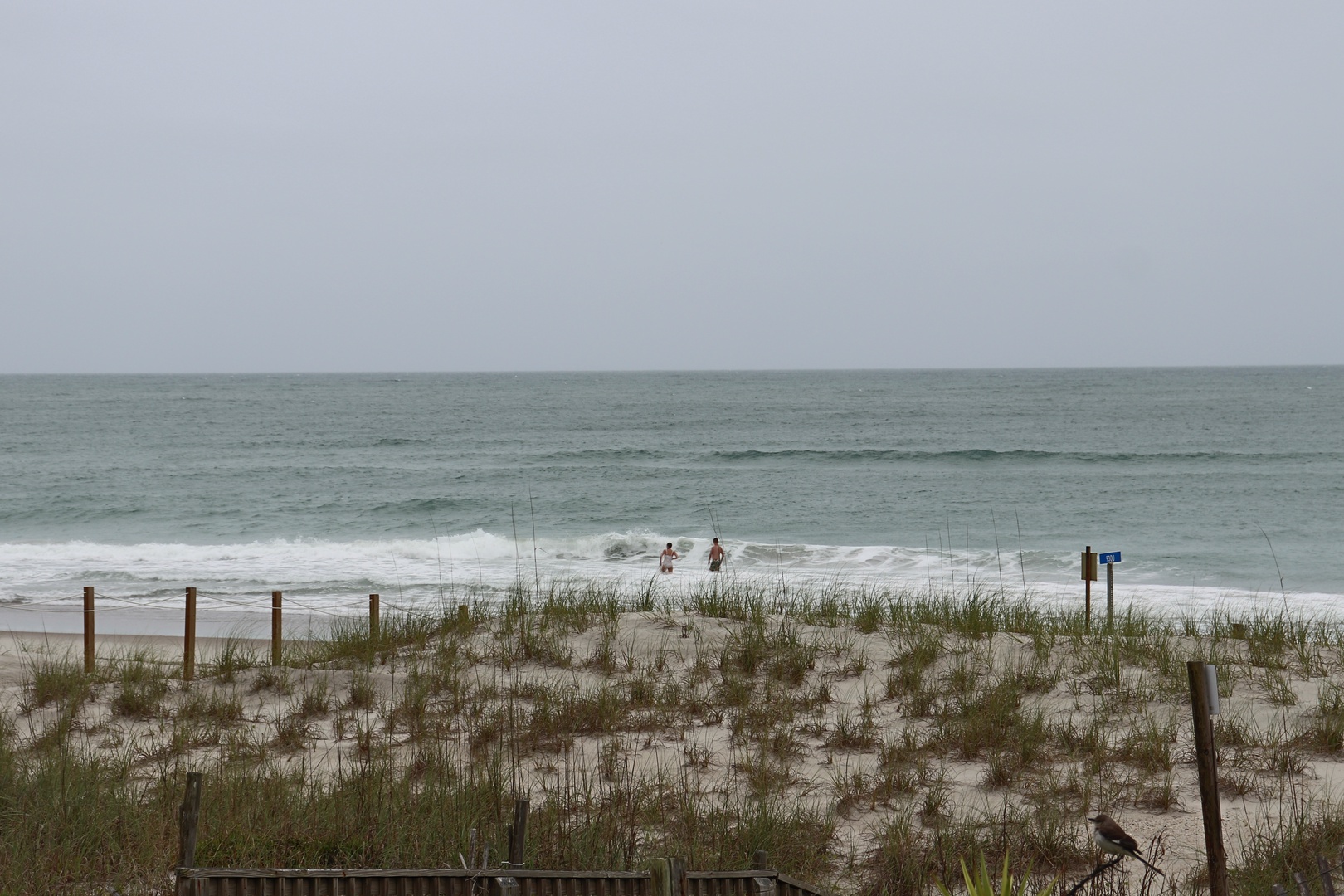 Pristine beachfront with gentle waves and natural dunes creates the perfect coastal escape for your beach vacation.