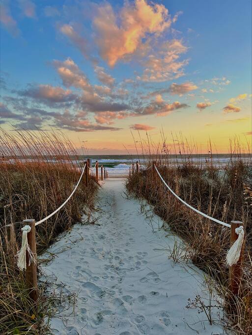 Scenic beach boardwalk winds through coastal dunes toward pristine shoreline at golden hour.