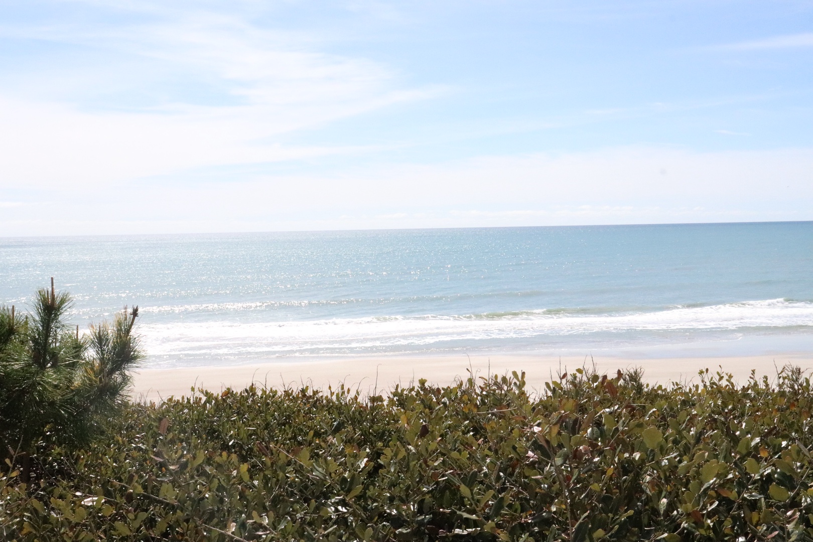 Pristine oceanfront with gentle waves and soft sand, framed by natural coastal vegetation.