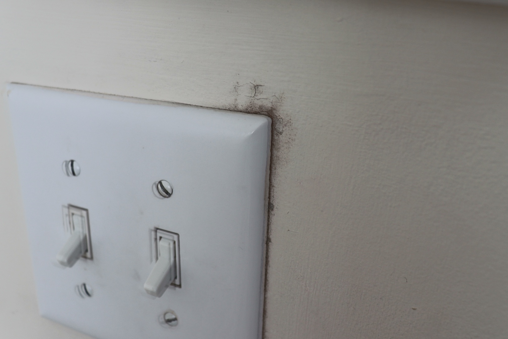 A white light switch plate mounted on a beige wall shows signs of wear and mold staining around the edges.