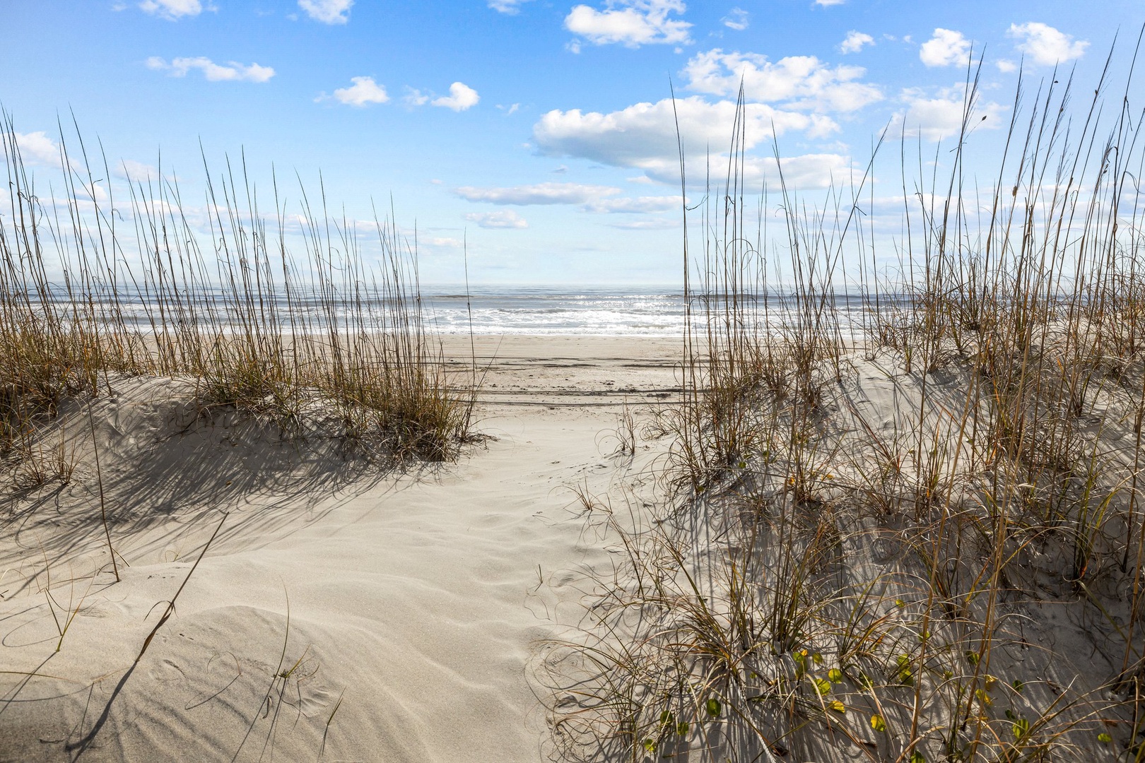 Pristine coastal landscape with natural dune grasses framing white sand beaches and rolling waves under blue skies.