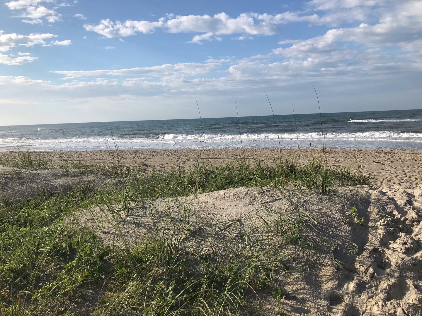 Natural coastal dunes with sea grasses frame the pristine beach and rolling waves beyond.