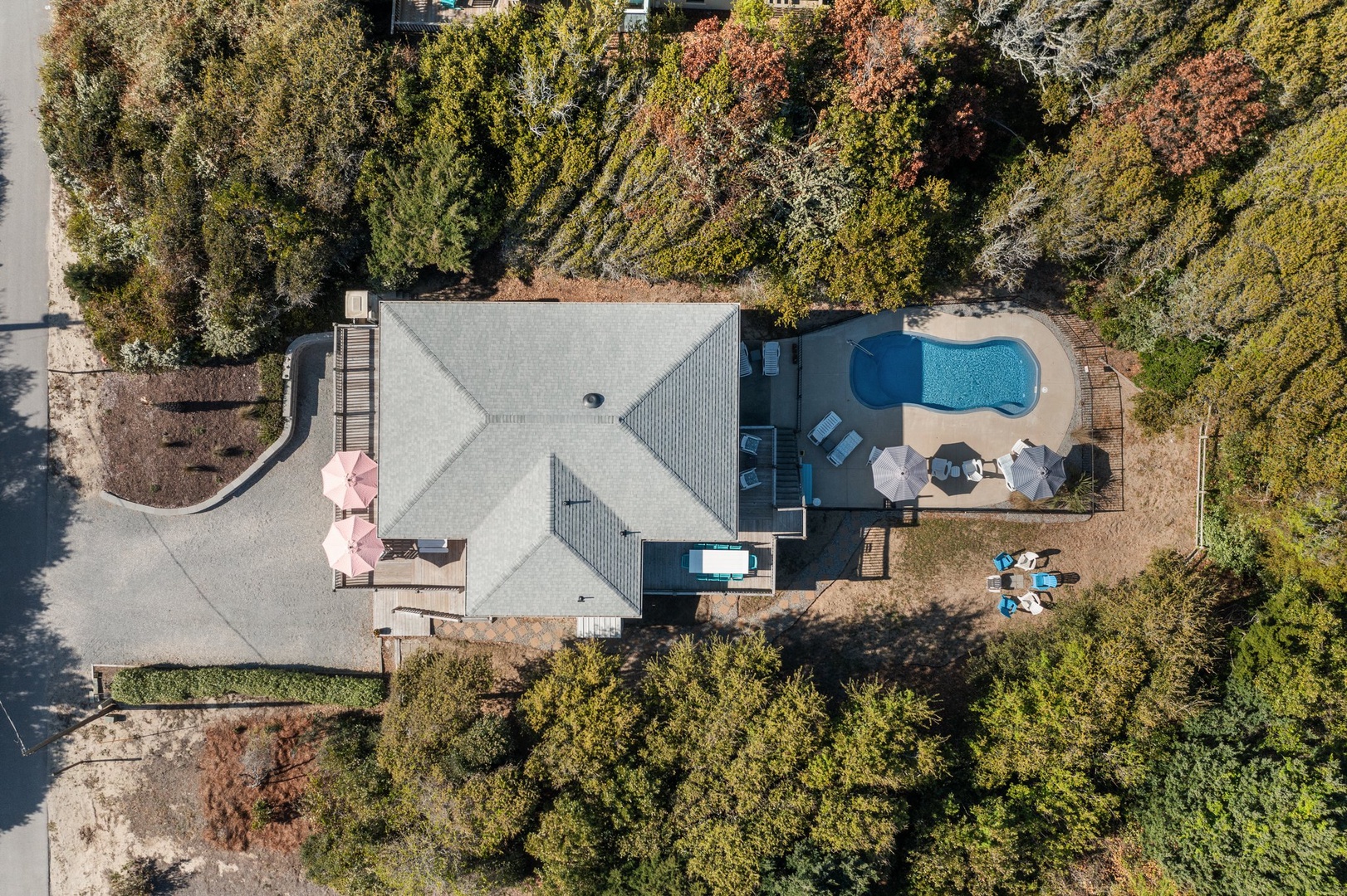 Aerial view of a property featuring a distinctive kidney-shaped pool surrounded by mature trees and natural landscaping in a peaceful residential setting.