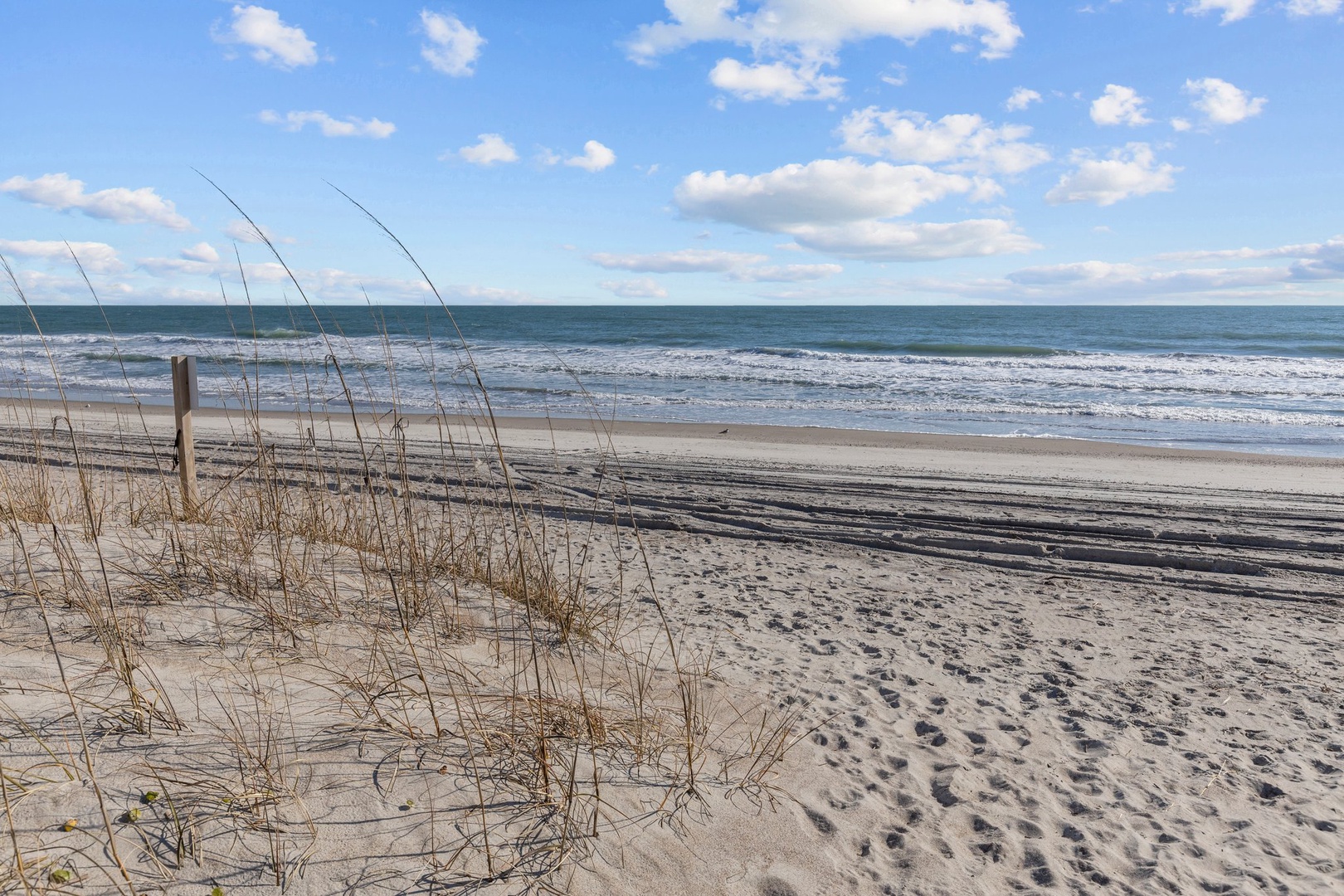Pristine sandy beach with gentle waves and natural dune grasses stretching along the coastline under a bright blue sky.