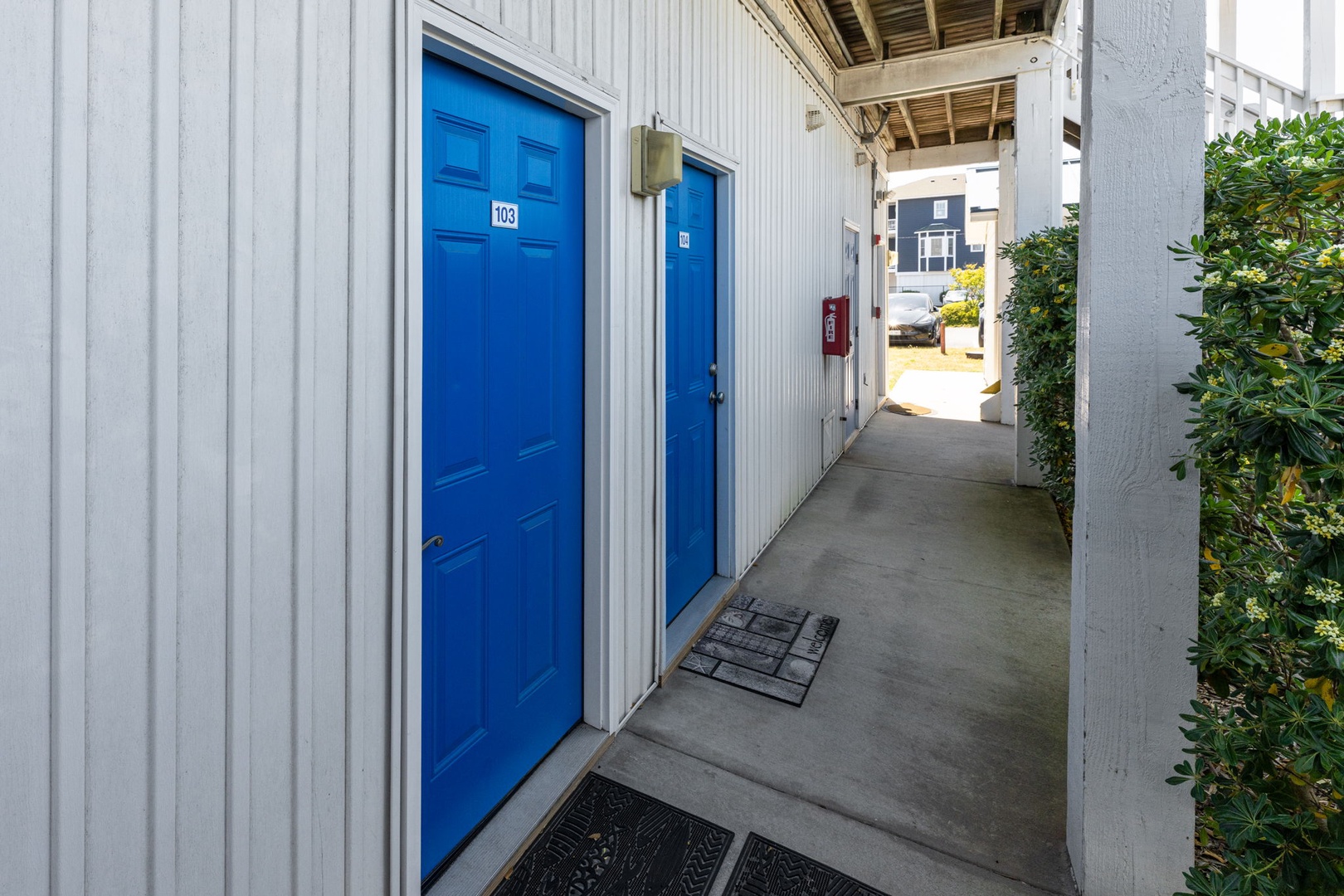 Blue doors mark individual units in this well-maintained property walkway with concrete paths and mature landscaping throughout the grounds.