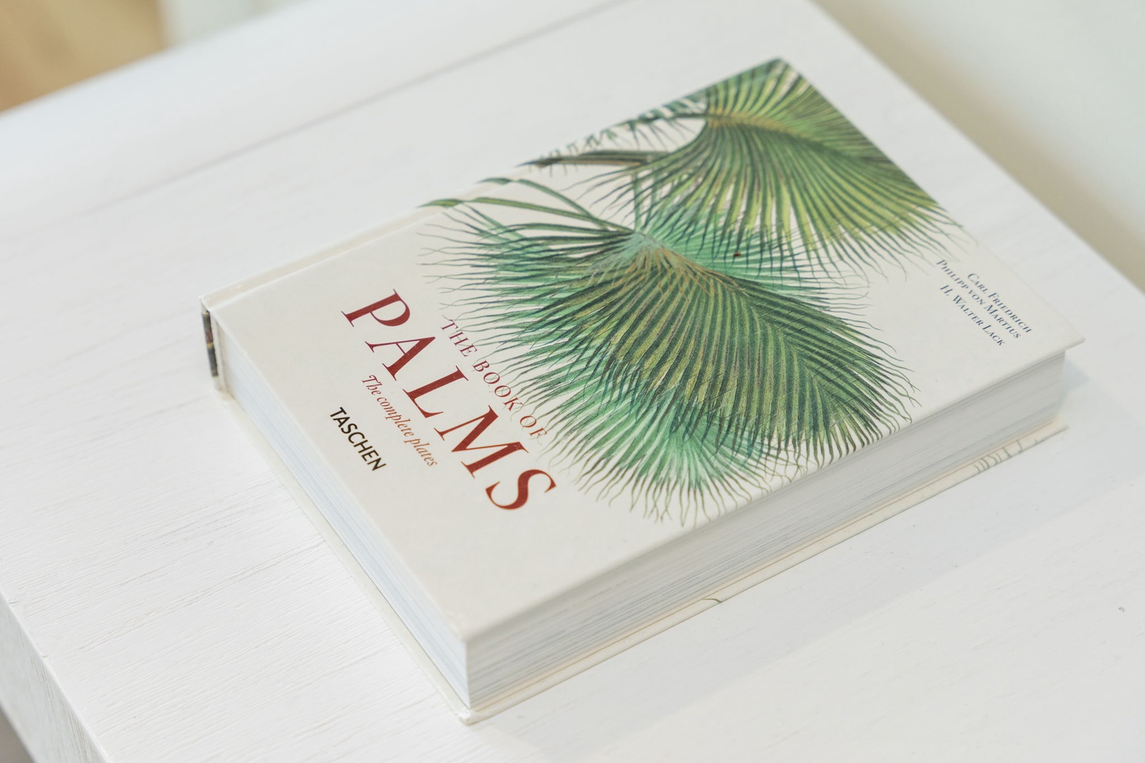Curl up with a beautiful palm book and let your mind wander to tropical destinations from your cozy retreat.
