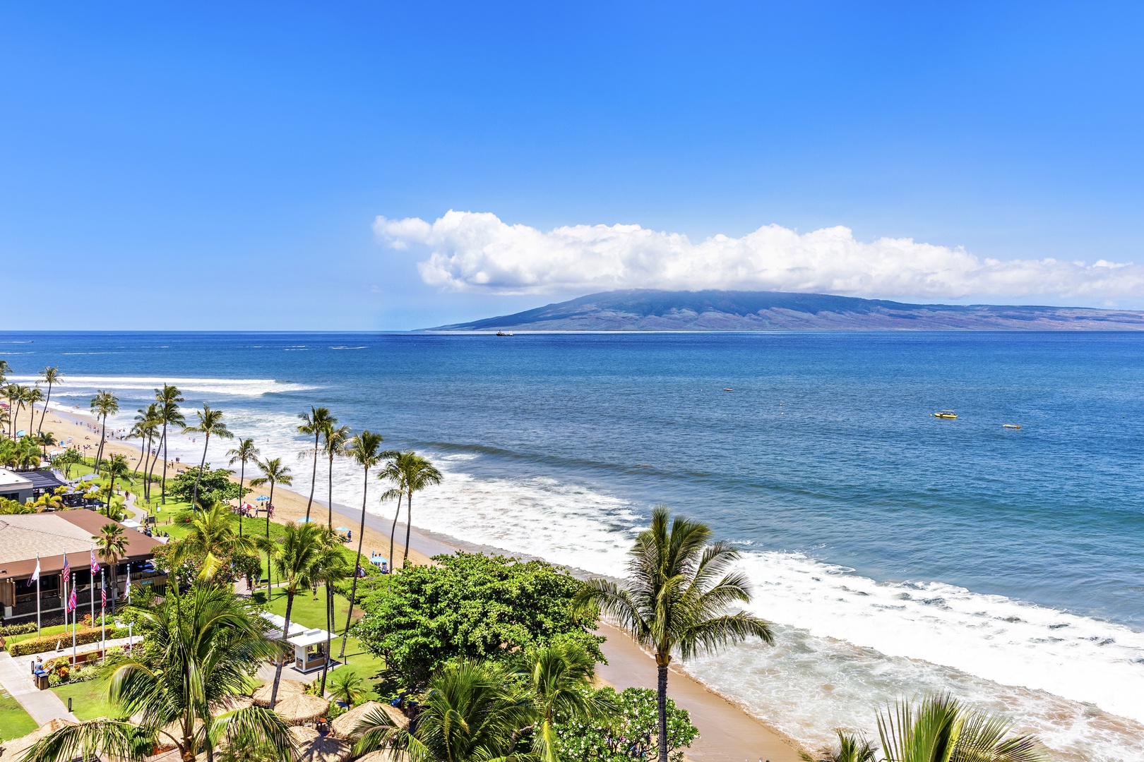 Stunning beachfront property with sweeping ocean views, tropical palms swaying in the breeze, and a distant island on the horizon—your coastal paradise awaits.