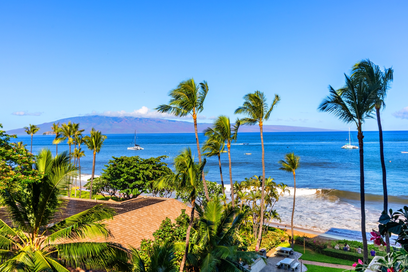 Beachfront property offers stunning ocean views framed by swaying palms, with pristine sandy shores and distant sailboats dotting turquoise waters beneath clear Hawaiian skies.