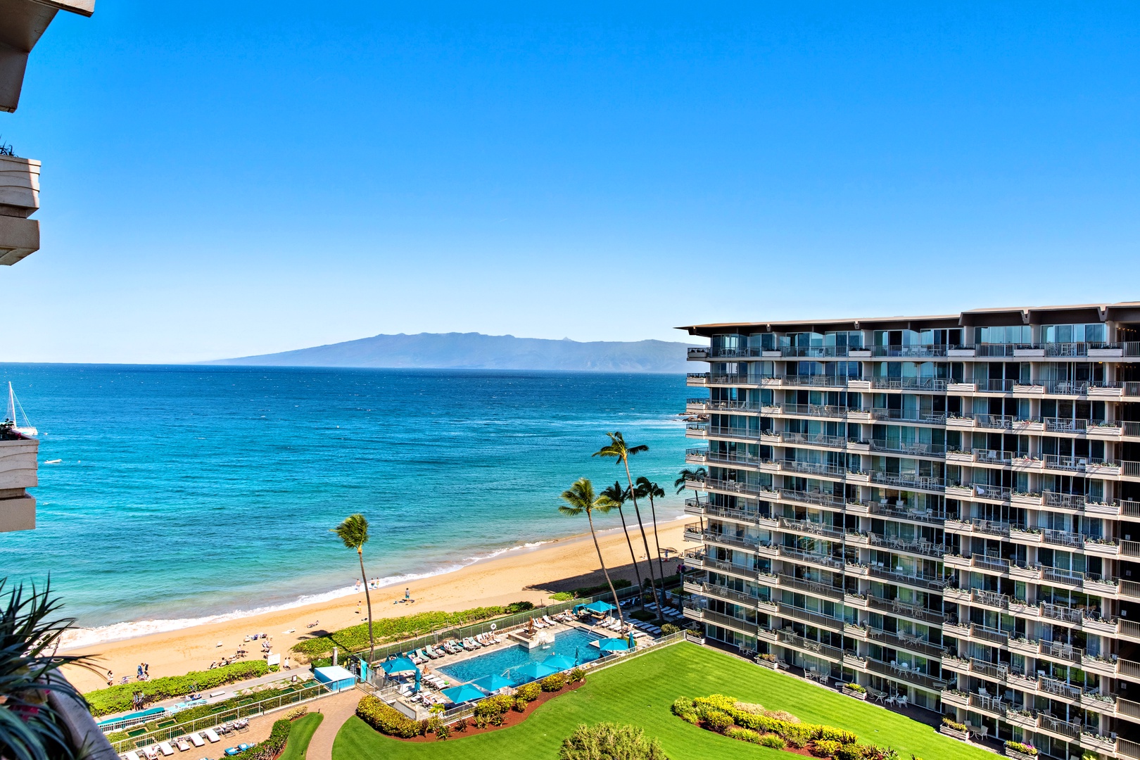 Stunning oceanfront panorama with palm trees swaying above golden sand and turquoise water stretching to distant island horizons. Your tropical paradise awaits below, framed by clear Hawaiian skies.