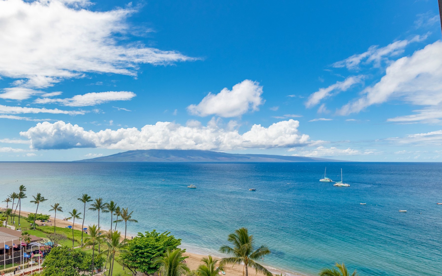 1159 - 1BOVP The Whaler-HEI