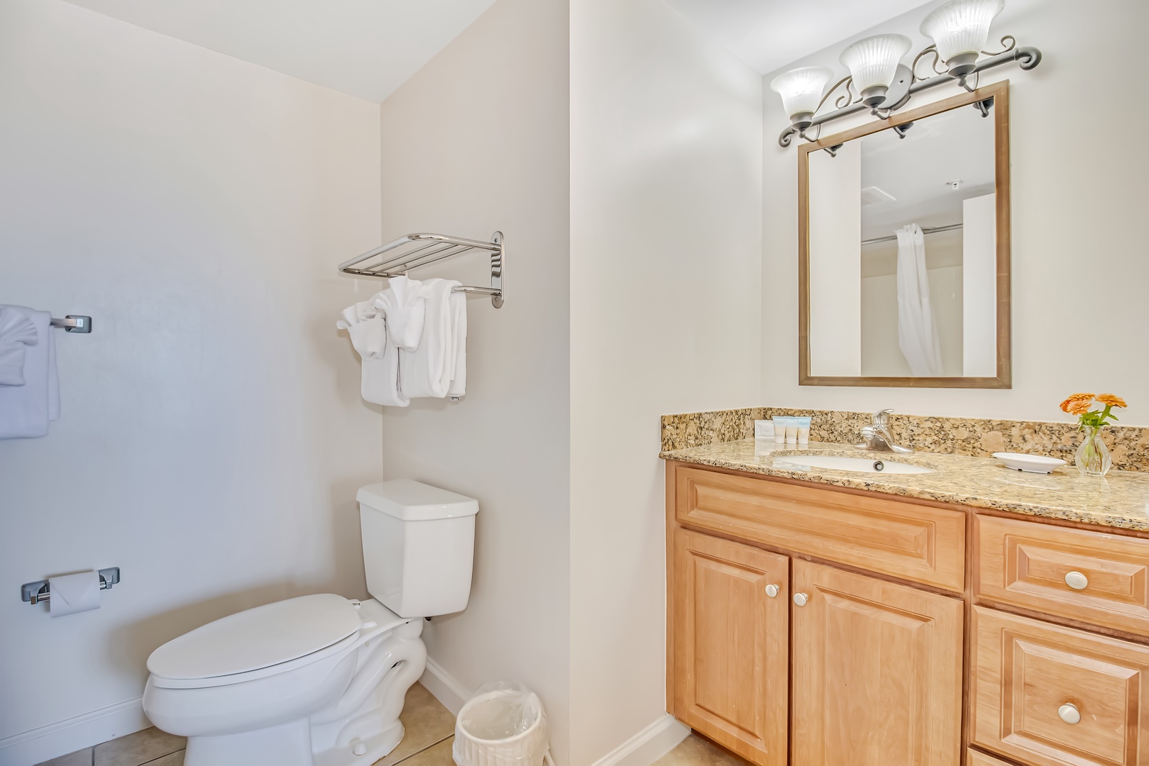 Primary Bathroom Vanity