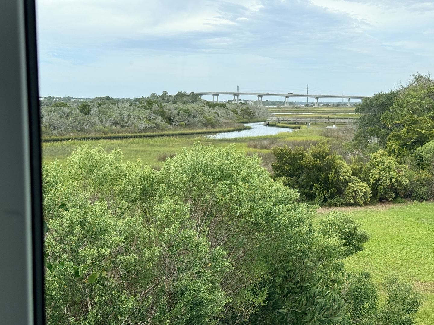 Marshland view