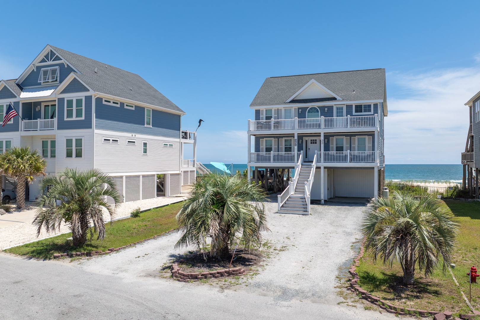 Front Yard Palms