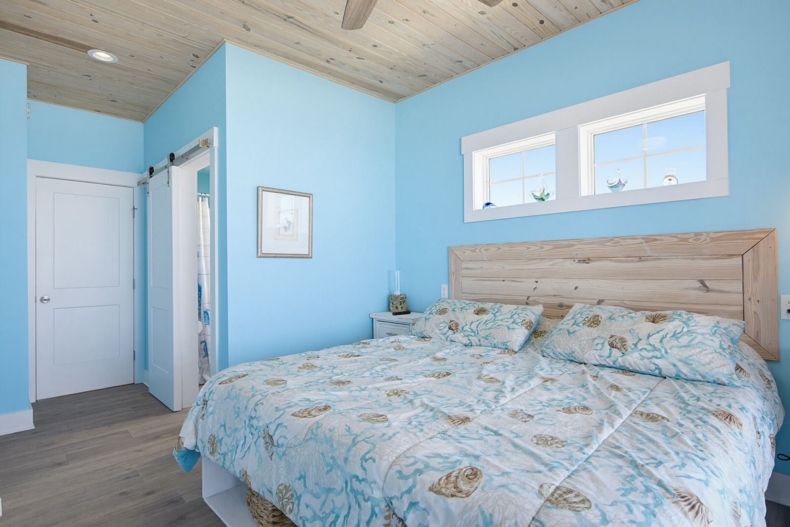 Shell bed view