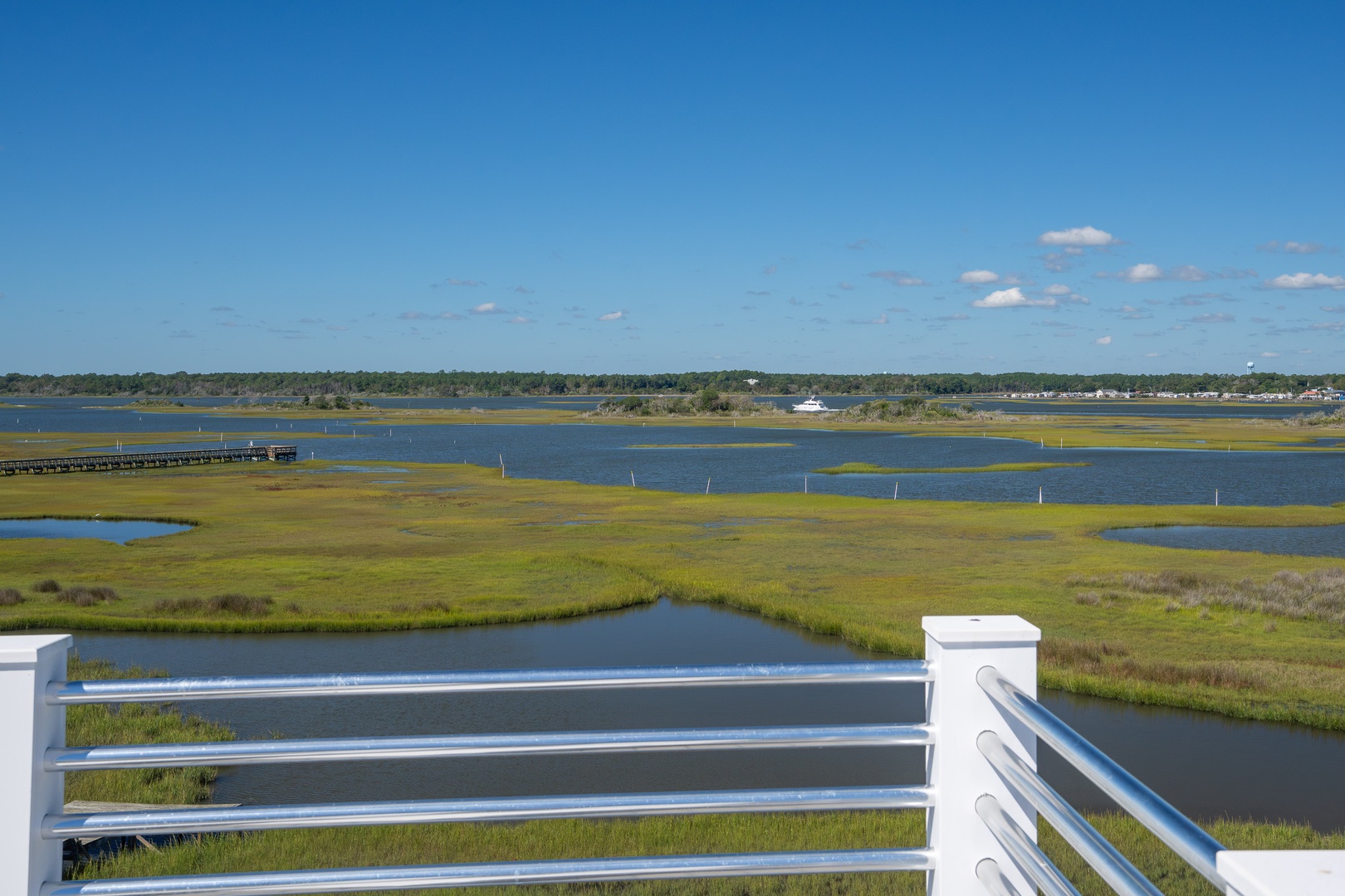 Marsh From Rooftop