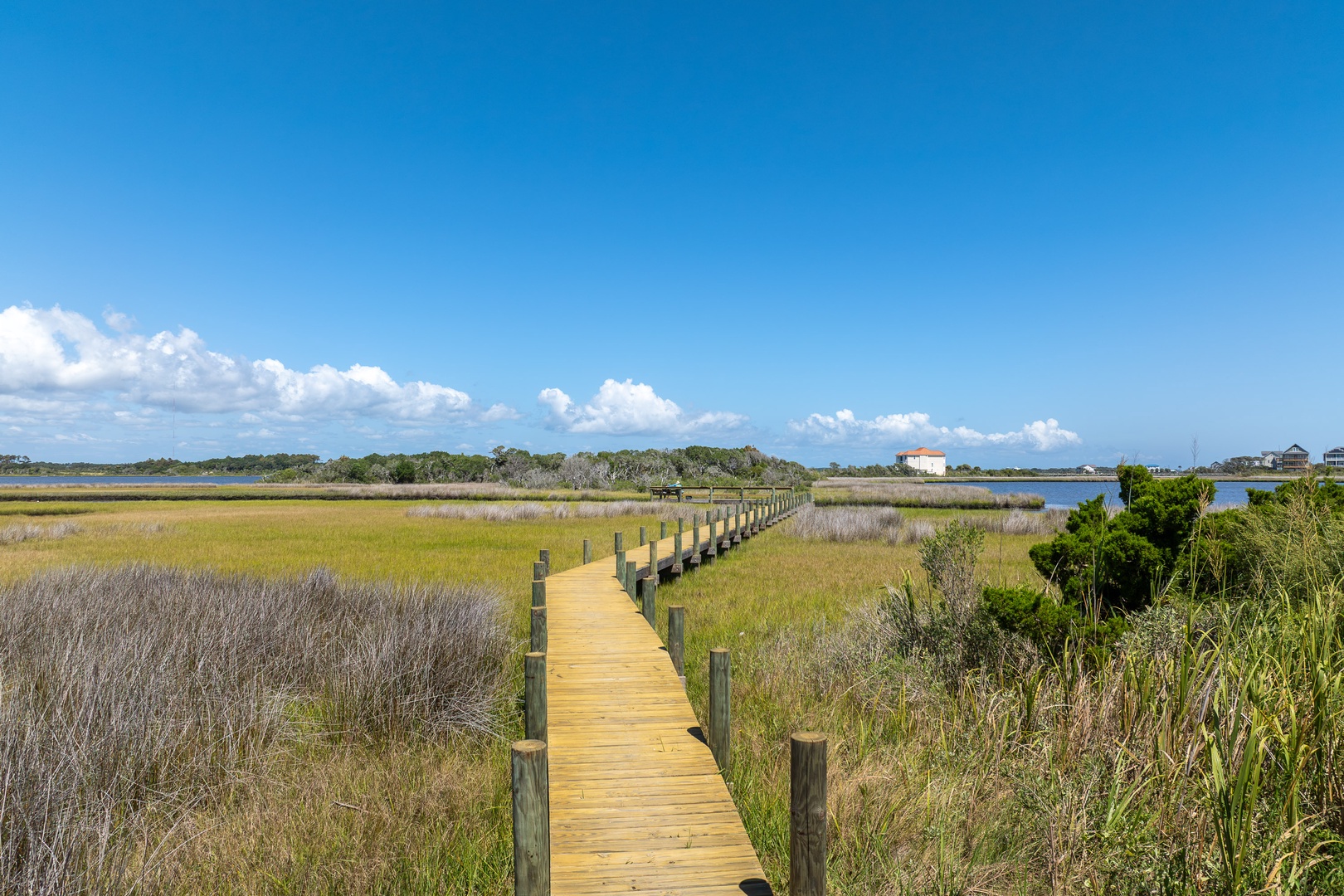 Marsh Boardwalk