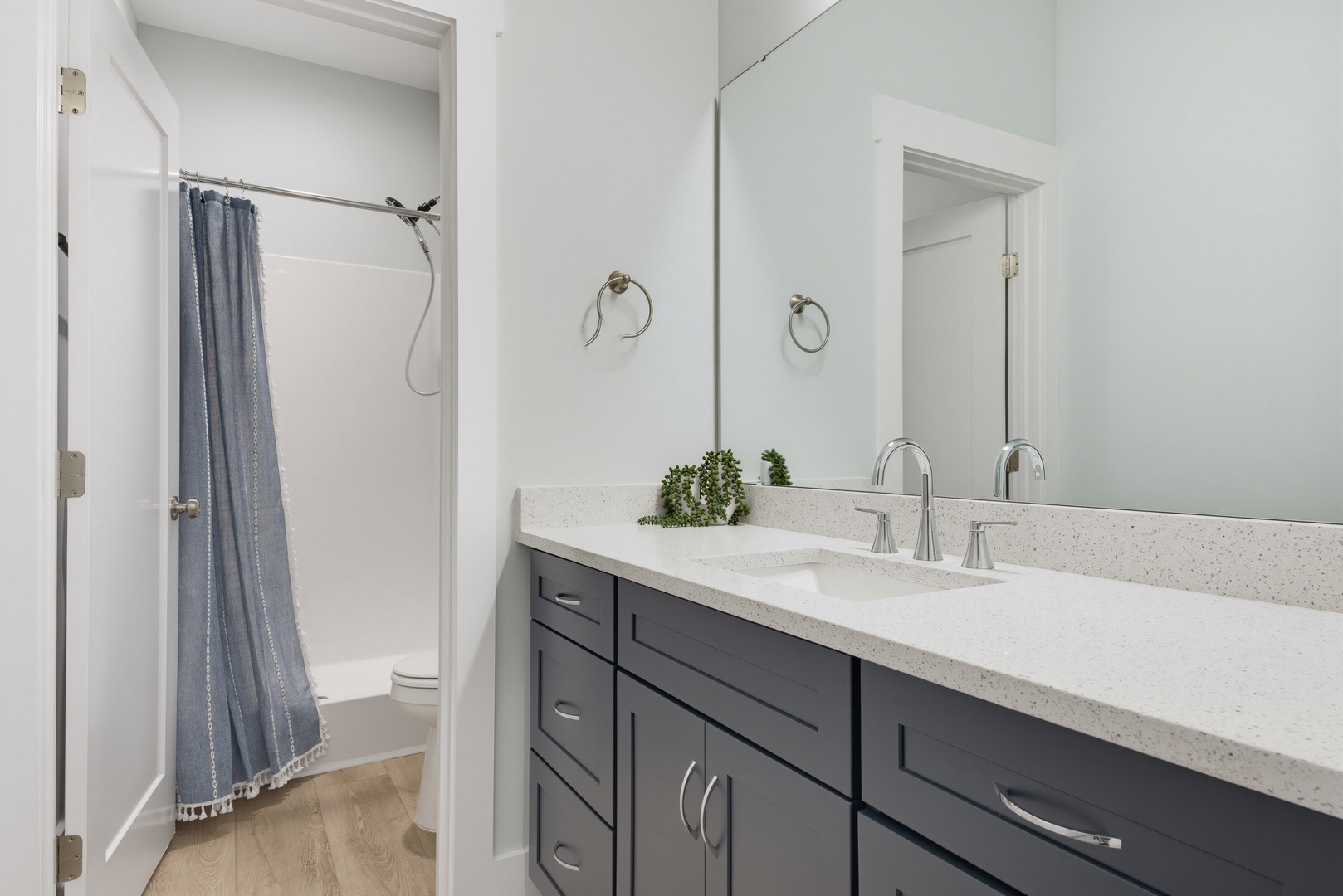 Bathroom Vanity Shower