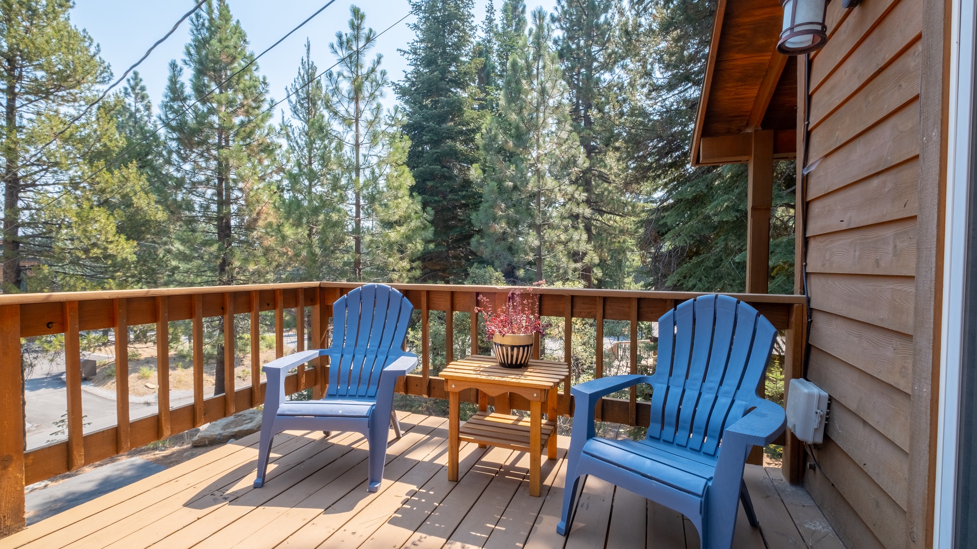 View from Back Patio: Exquisite  Alpine Chalet