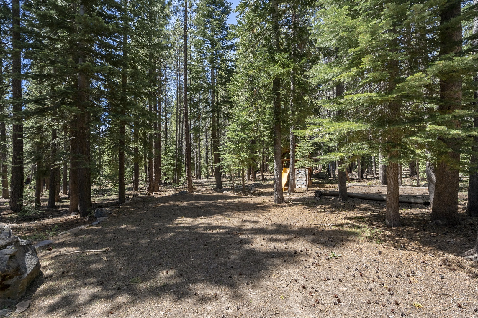 Backyard: Tahoe Donner Forest Hideaway