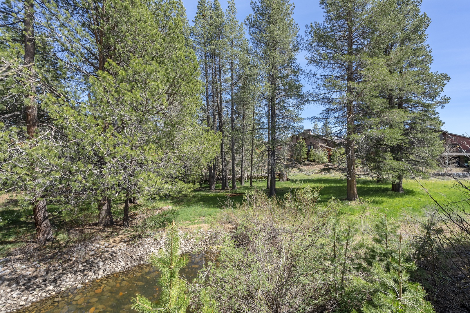 Behind the home: Pinyon Creek Upscale Vacation Retreat