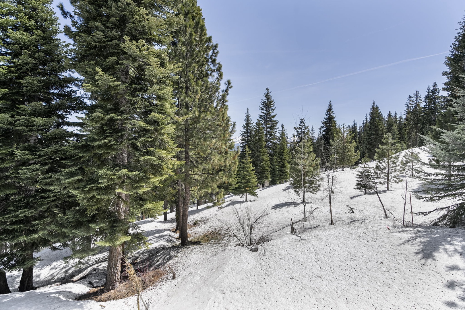 View of backyard: Hilltop Manor in Tahoe Donner