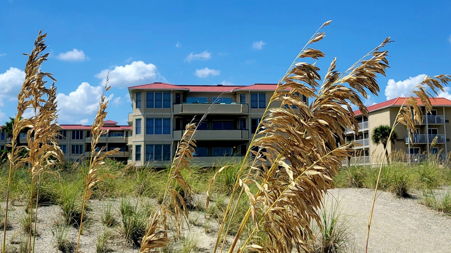 Desoto Beach Club Condos Tybee Island