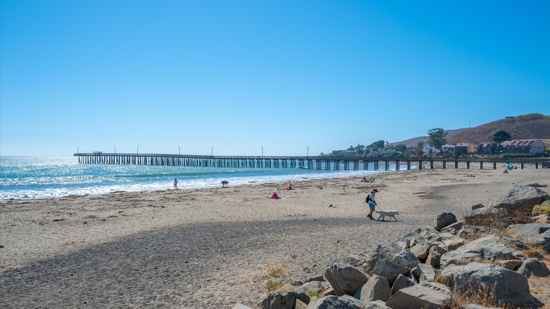 You will love enjoying the beach and iconic Cayucos pier just steps from your home