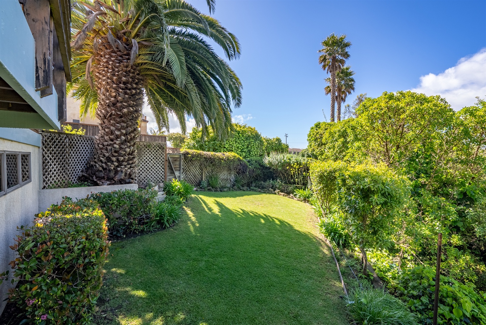 Lush backyard space to enjoy