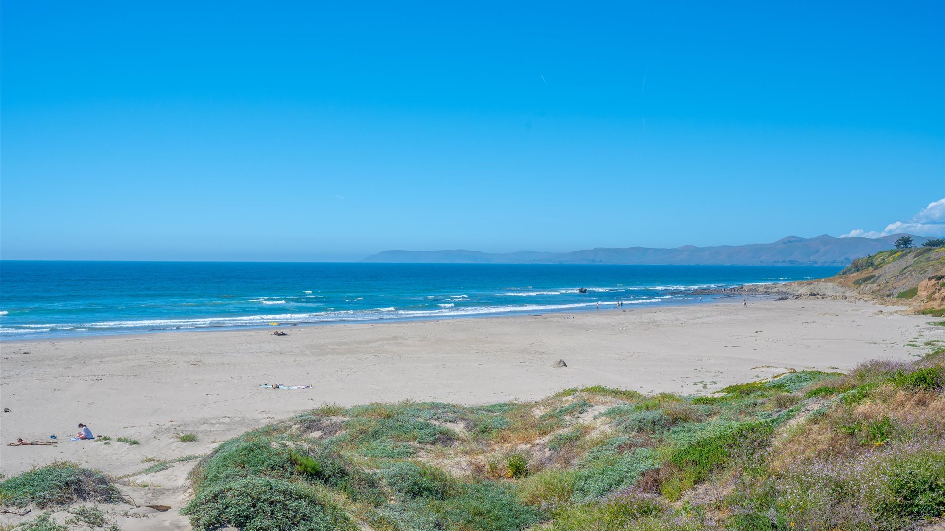 Morro Strand State beach is nearby, with endless coastline to explore