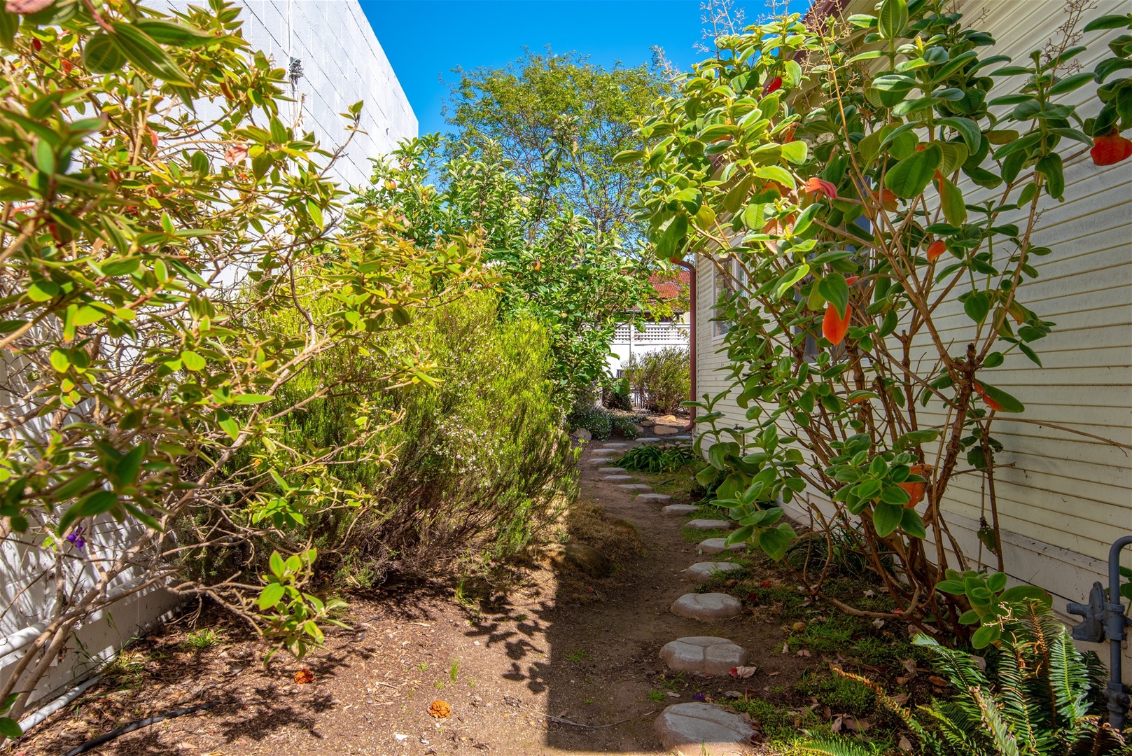 Side yard of main home