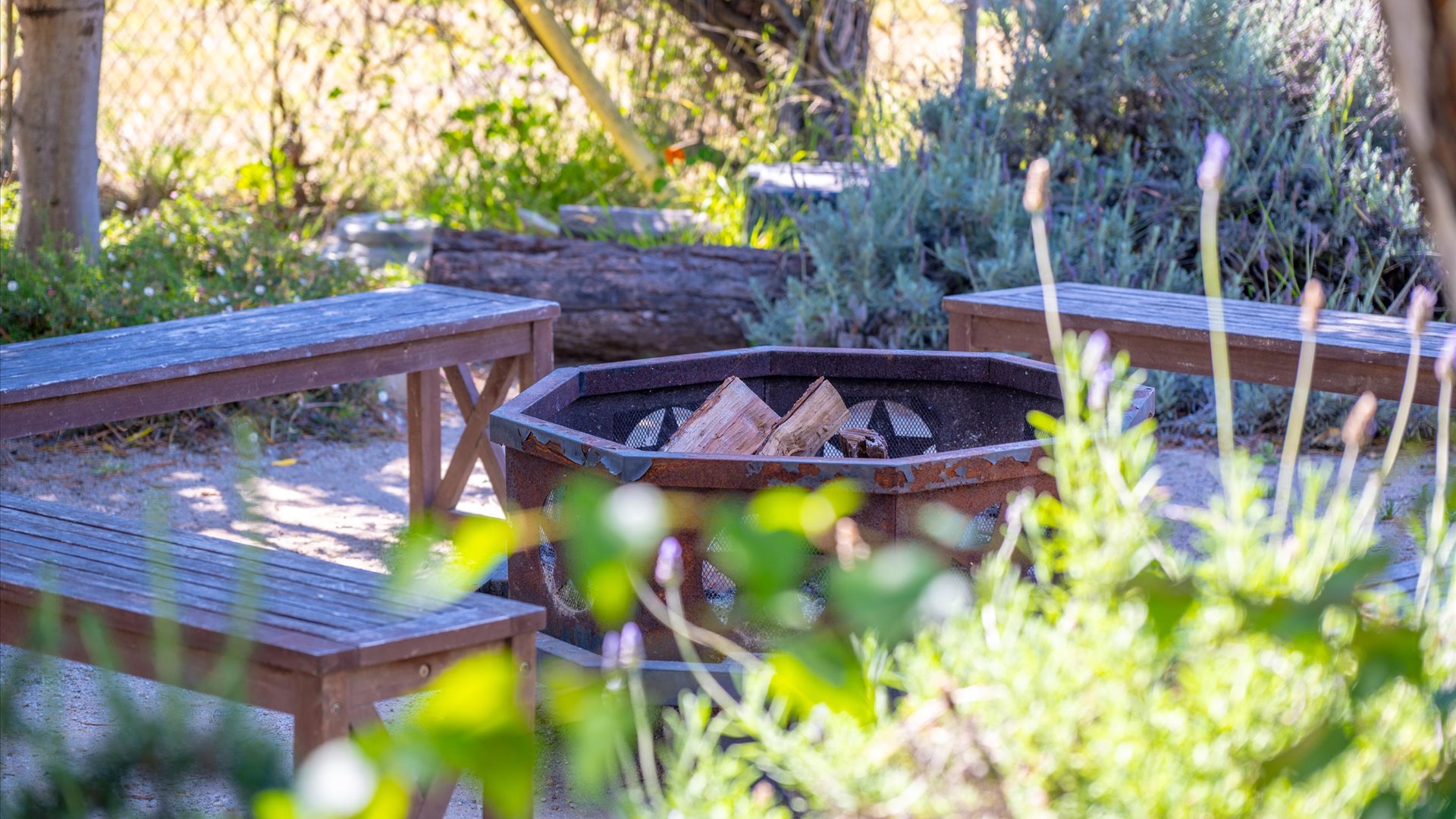 Fire pit is surrounded by wooden benches and lush greenery, perfect for gathering under the open sky and enjoying peaceful moments in nature.