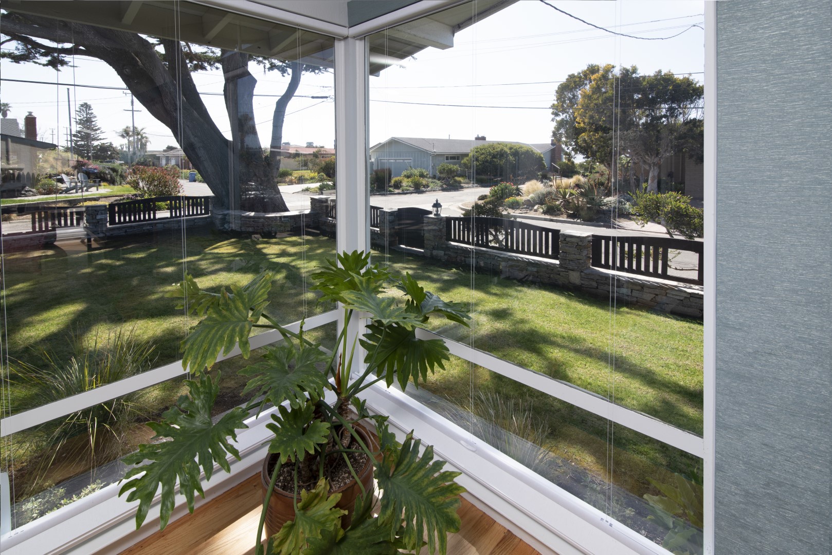 Views from the living room