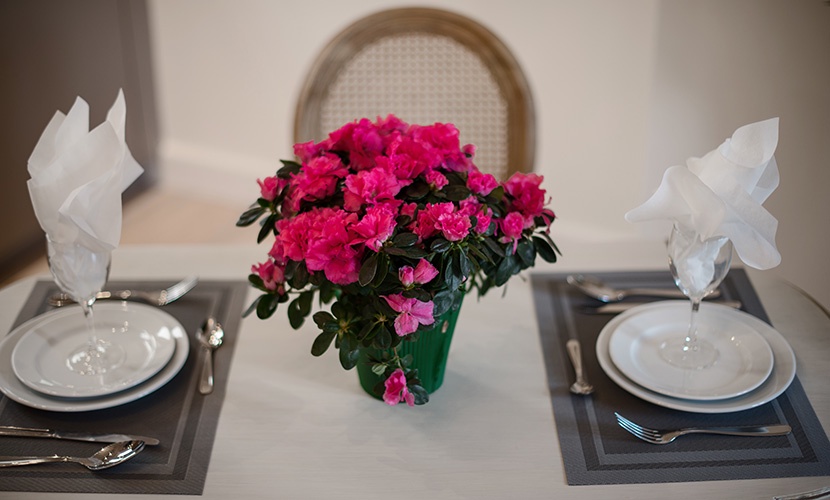 A romantic dinner setting in Paris - your apartment!
